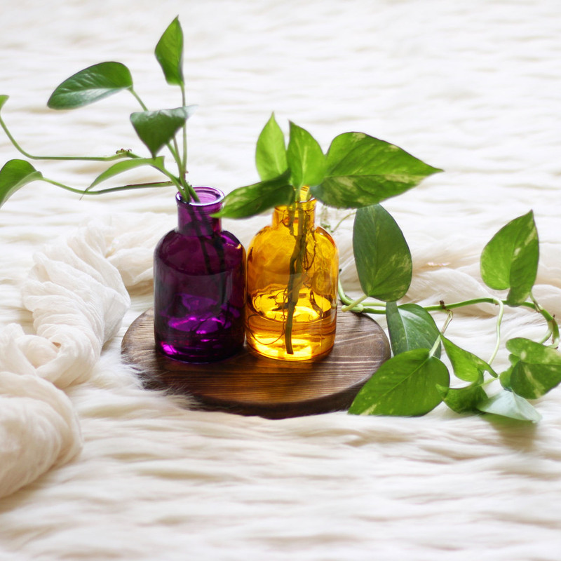 گلدان دکوری شیشه‌ای مدل SD21 بسته 2 عددی مناسب قلمه‌زنی گیاهان و گل‌های طبیعی و خشک ابعاد 13×7×7 سانتی‌متر وزن 200 گرم