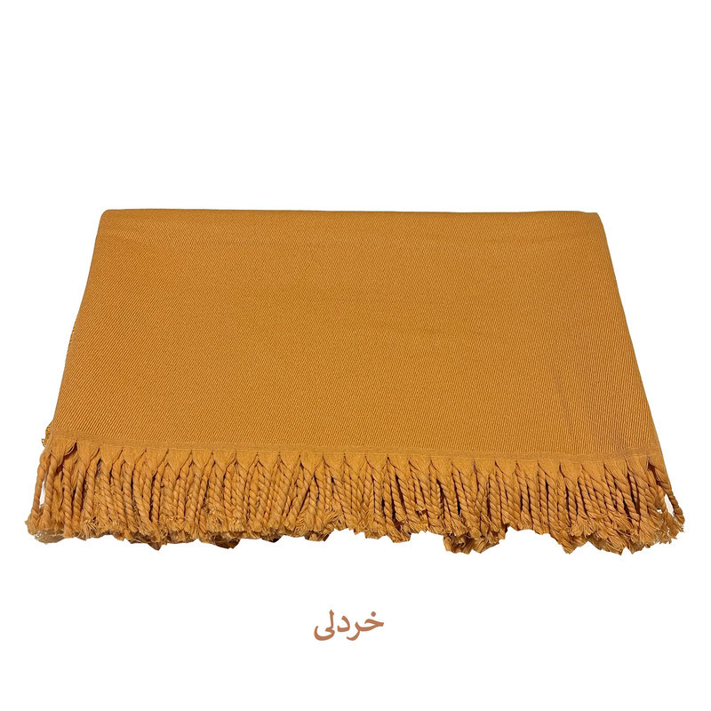 پتو مسافرتی مدل پارمیس سایز 210x160 سانتی متر