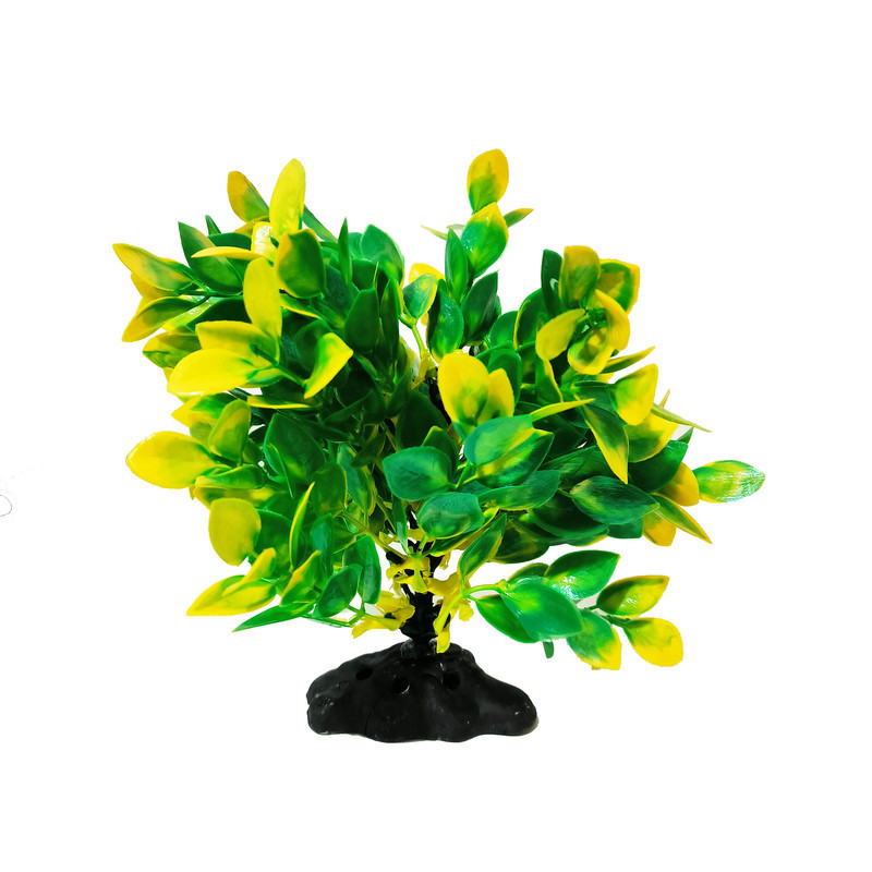 گیاه تزیینی آکواریوم کد VB01 مجموعه دو عددی