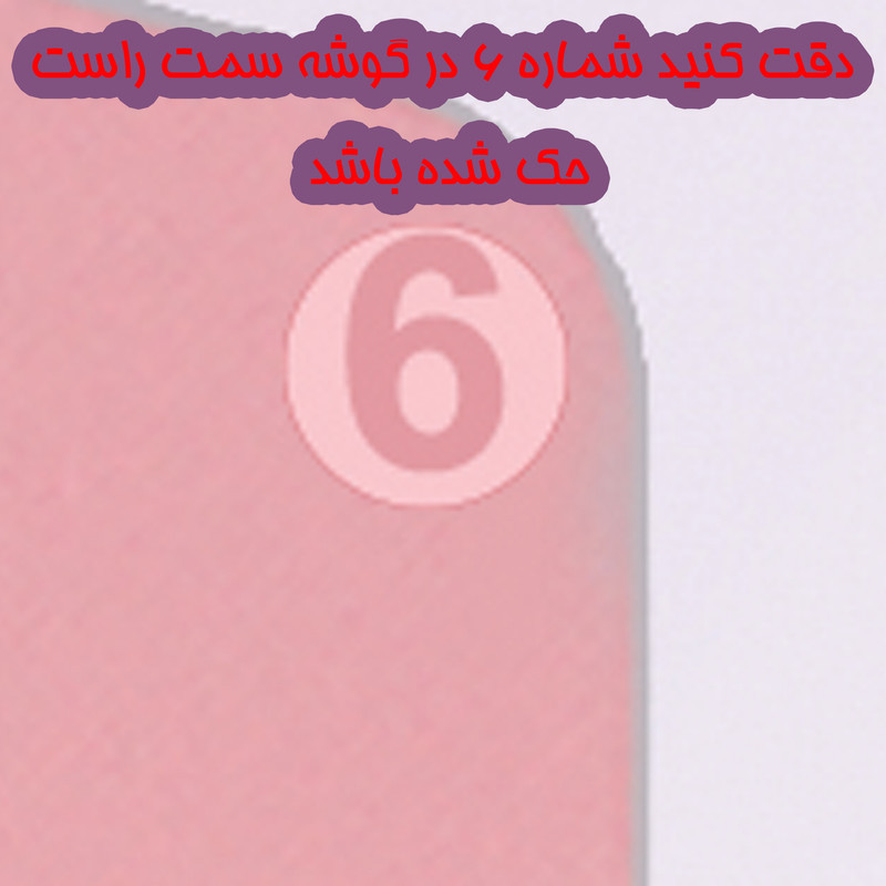 تخته گوشت کامل کد 456