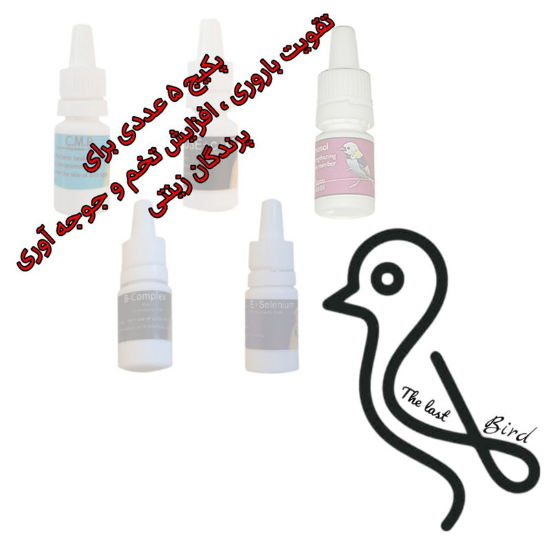 مکمل پرندگان کد N05 حجم 25 میلی لیتر مجموعه 5 عددی