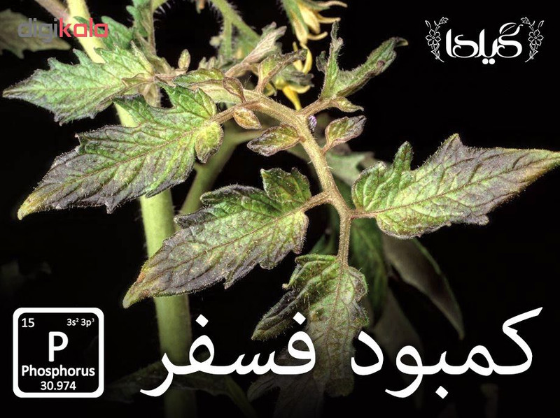 کود ریشه زایی گیلدا کد GP25 وزن 25 گرم