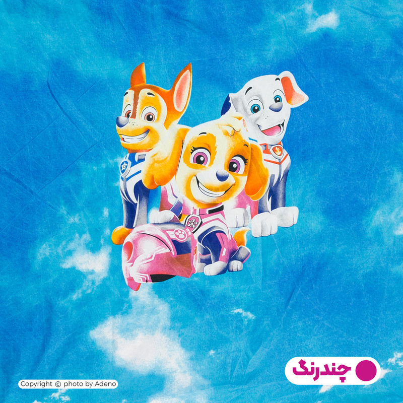 بالش کودک آدنو مدل Paw کد CH168