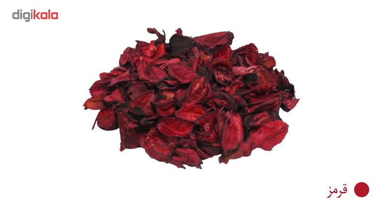 گل خشک کوه شاپ کد D3018- A003