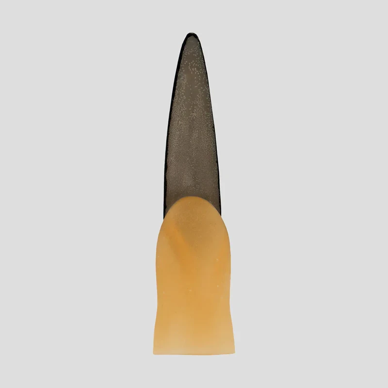 ابزار شوخی مدل SK-Sst-460d2 انگشت و ناخن بسته ده عددی