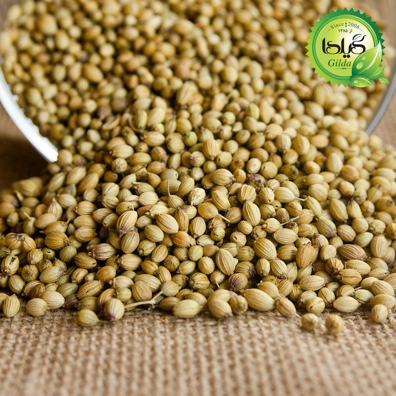 بذر سبزی خوردن گیلدا کد 097 مجموعه 10 عددی