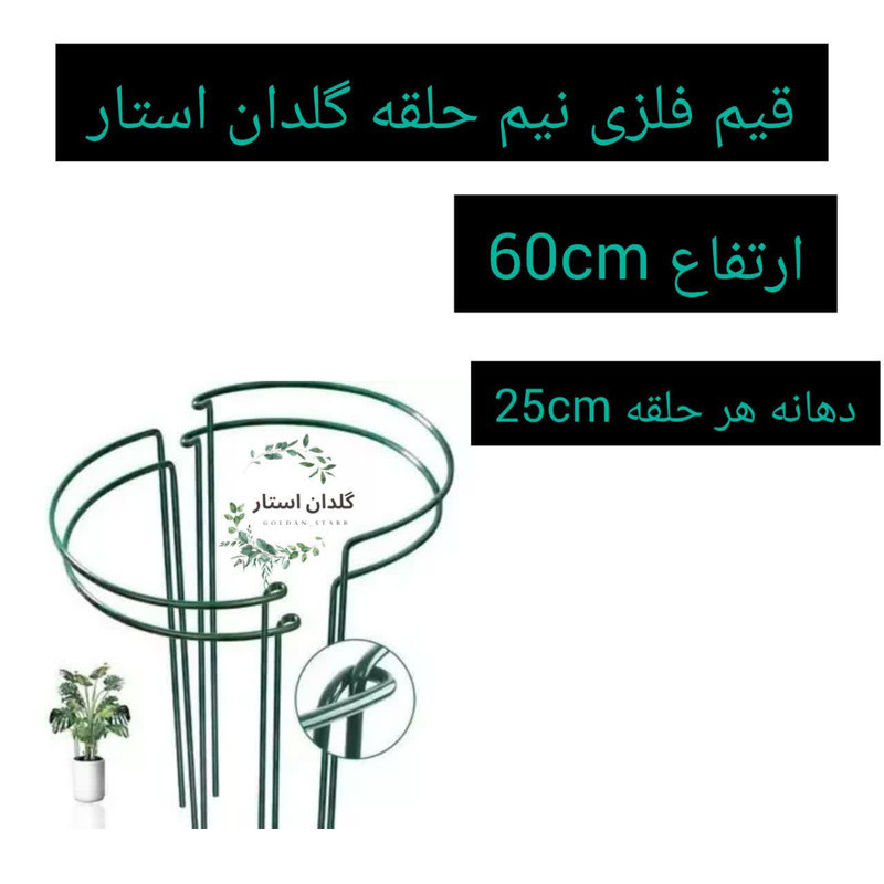 نگهدارنده گیاه مدل برگ انجیری بسته 2 عددی