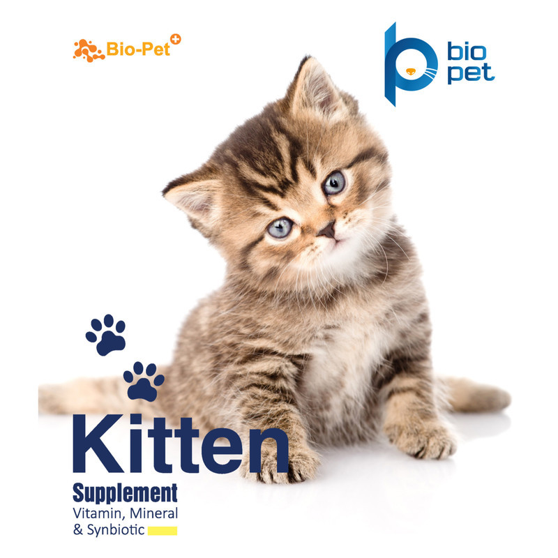 پودر مکمل گربه بایو پت مدل kitten وزن 200 گرم