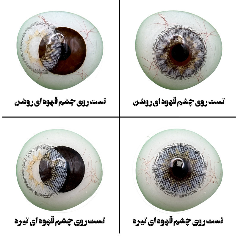 لنز چشم هرا گریس تمیم کانتکت لنز مدل SHADOW کد 36 رنگ طوسی با مرکز عسلی دور دار