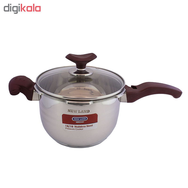 زود پز نیولند مدل NL-2131 گنجایش 3 لیتر