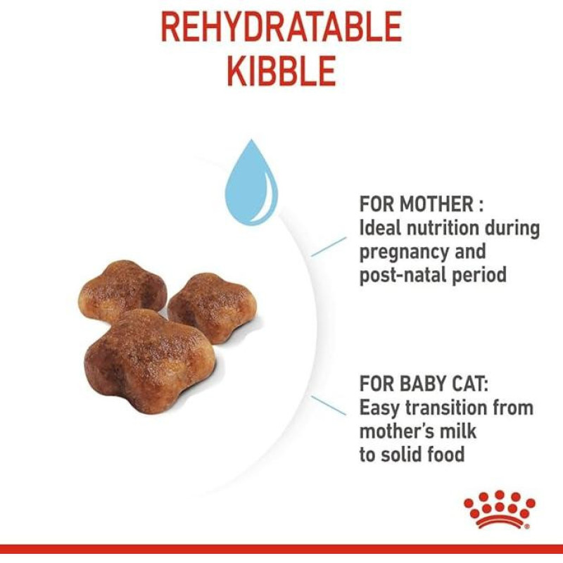 غذای خشک مادر و بچه گربه رویال کنین مدل Mother & Baby Cat وزن 10 کیلوگرم