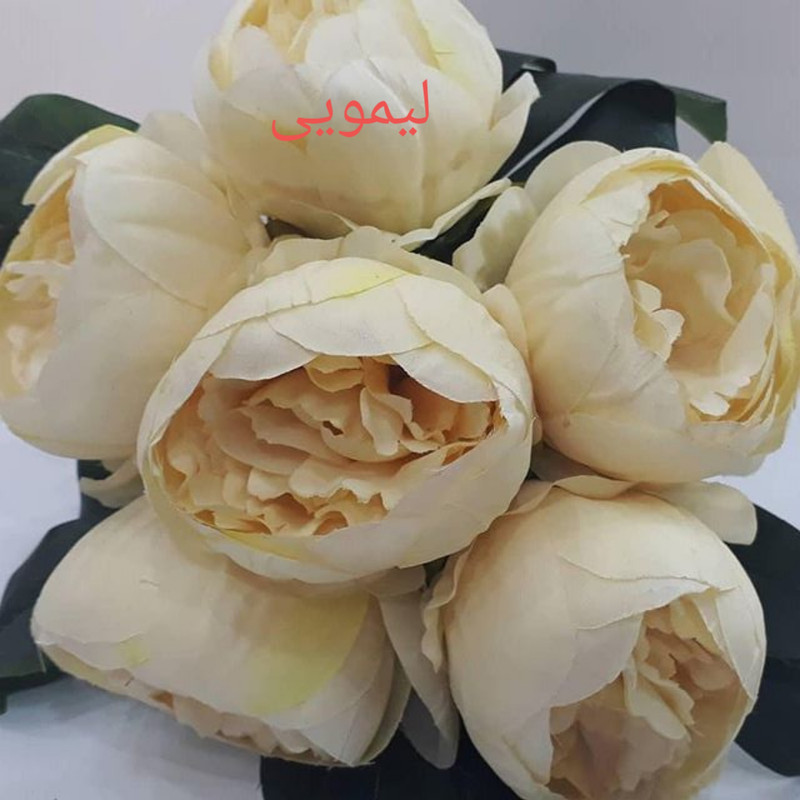 گل مصنوعی طرح پیونی کد pa0085 - دارای 6 گل قابل جدا شدن از شاخه، قابل شستشو، جنس پارچه، ابعاد 18×18×23 سانتی‌متر، وزن 300 گرم