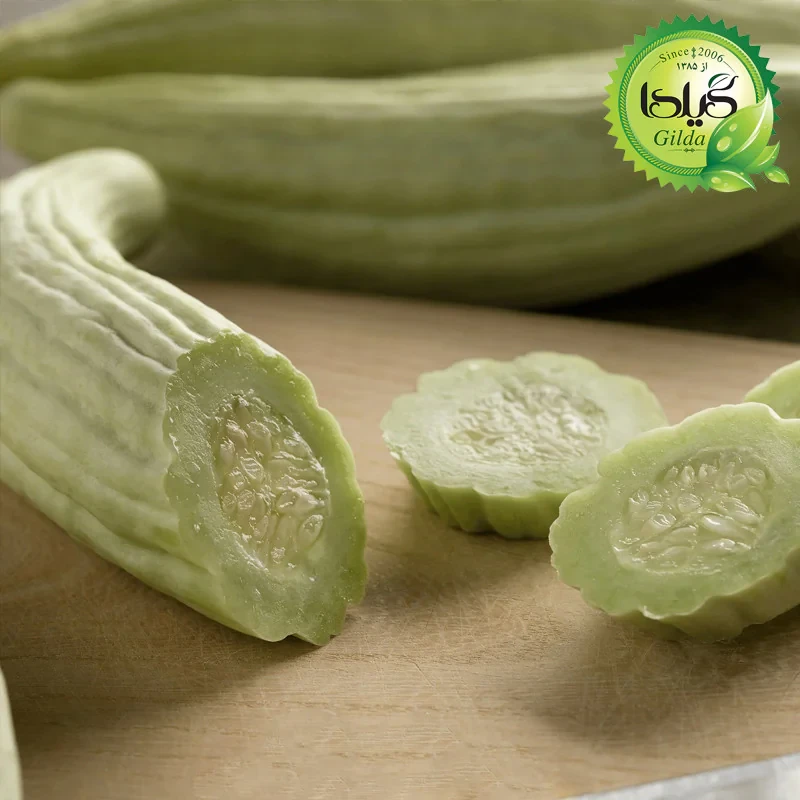 بذر خیار چنبر گیلدا کد 630