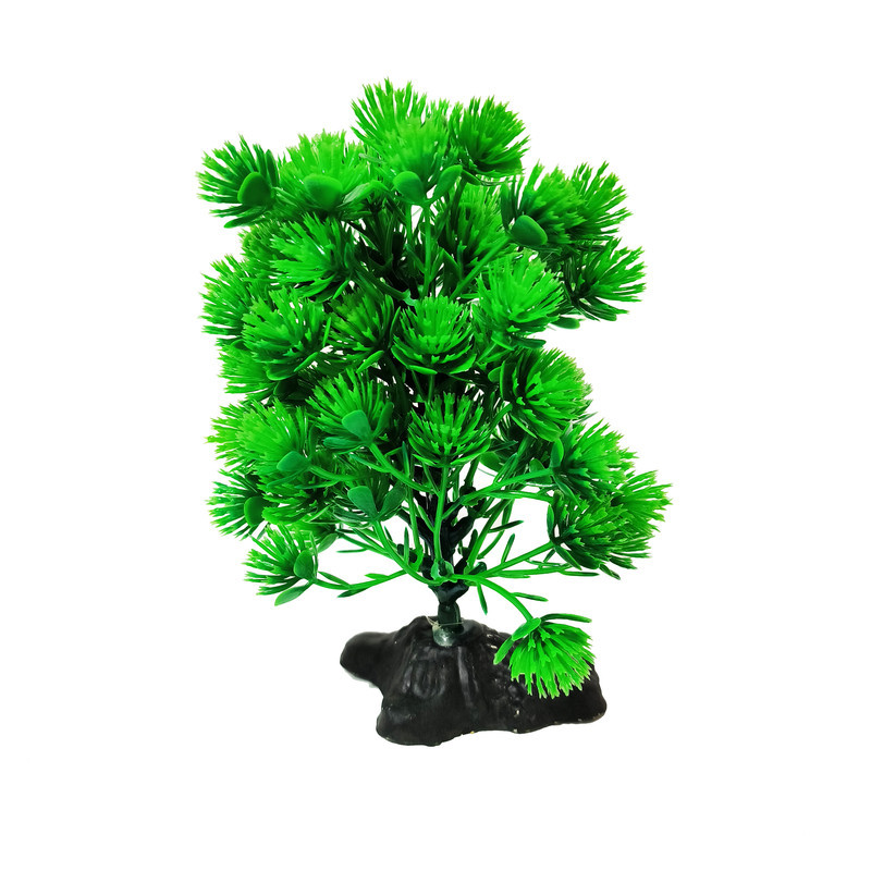 گیاه تزیینی آکواریوم کد VB04 مجموعه 2 عددی