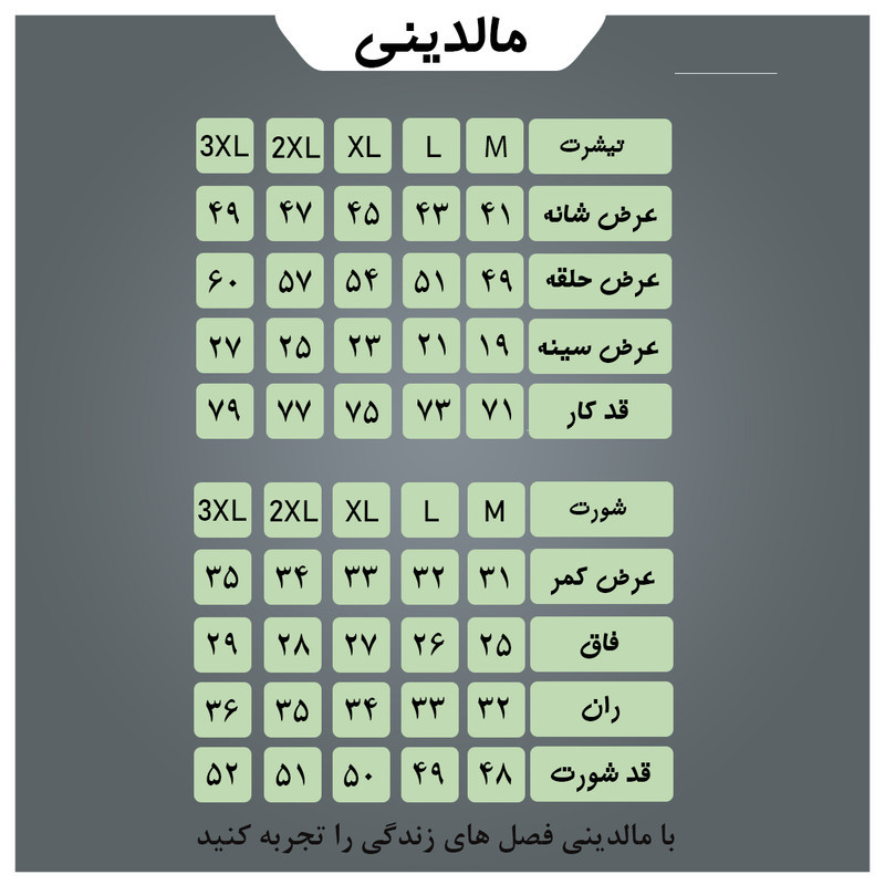 ست تی‌شرت و شلوارک ورزشی مردانه مدل set001