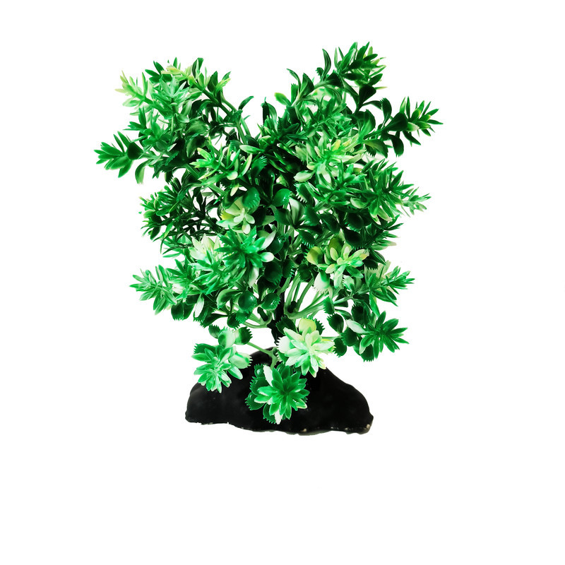 گیاه تزیینی آکواریوم کد VB04 مجموعه 2 عددی