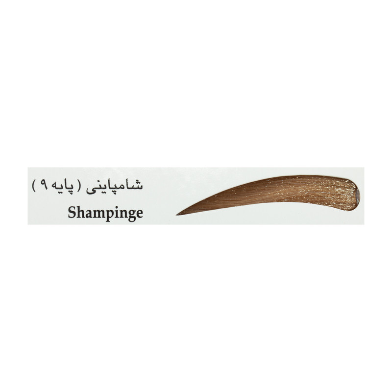 رنگ ابرو آدونیس پرفکت شماره 9 حجم 15 میلی لیتر رنگ شامپاینی