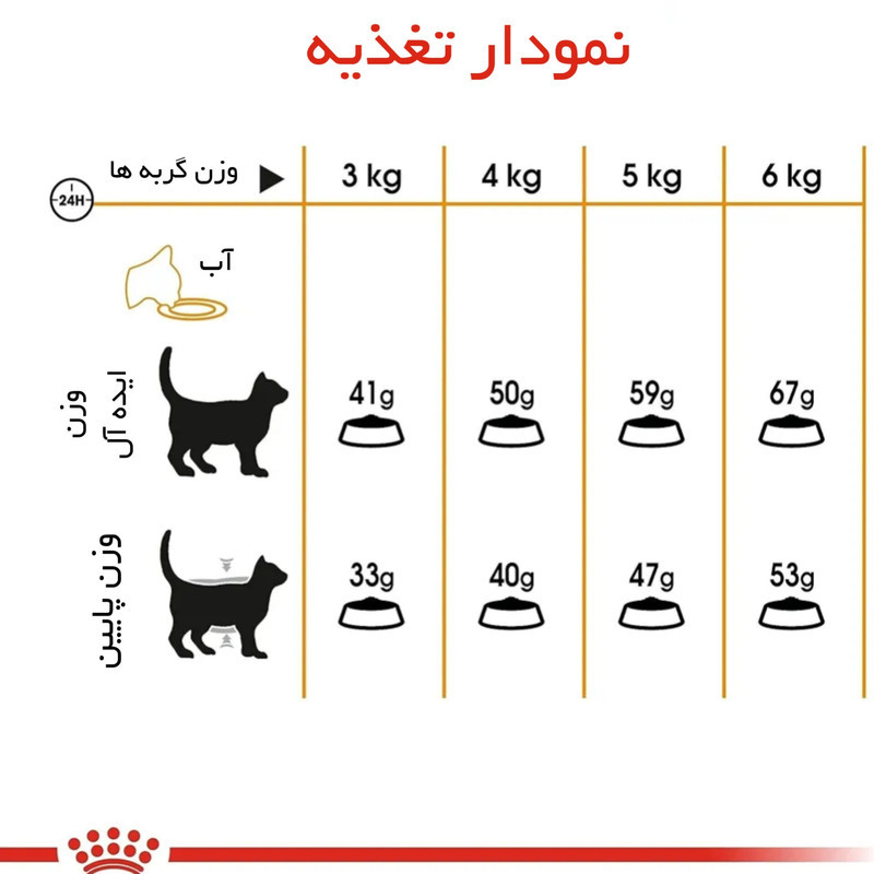 غذای خشک گربه رویال کنین مدل Hair & Skin وزن 2 کیلوگرم