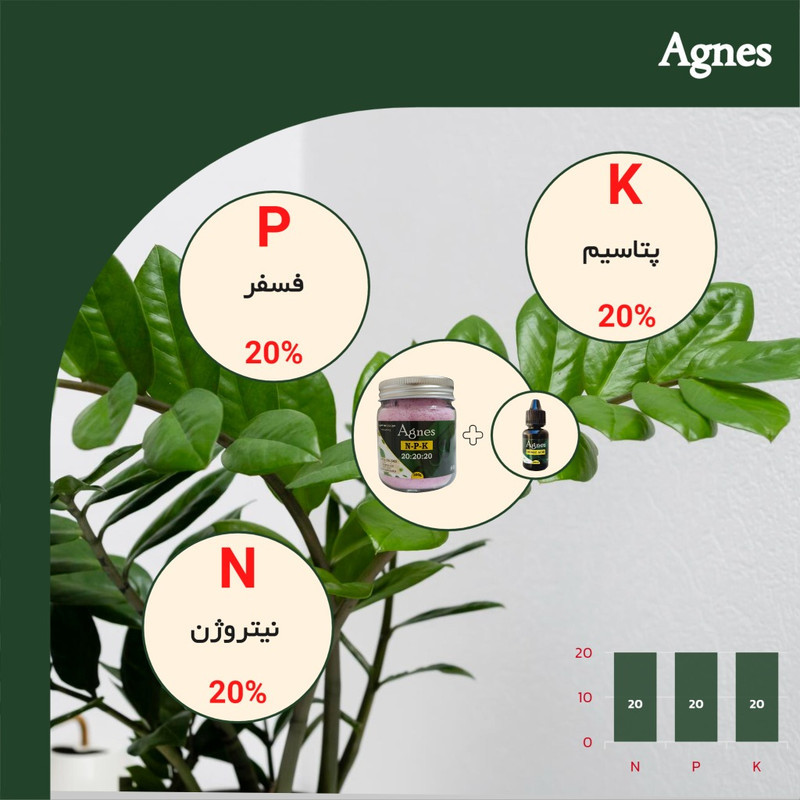 کود NPK 20-20-20 آگنس مدل Ag202020 وزن 200گرم