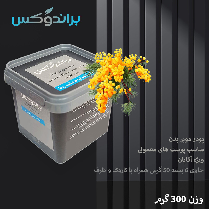 پودر موبر بدن براندوکس مدل Piperita وزن 300 گرم مجموعه 2 عددی