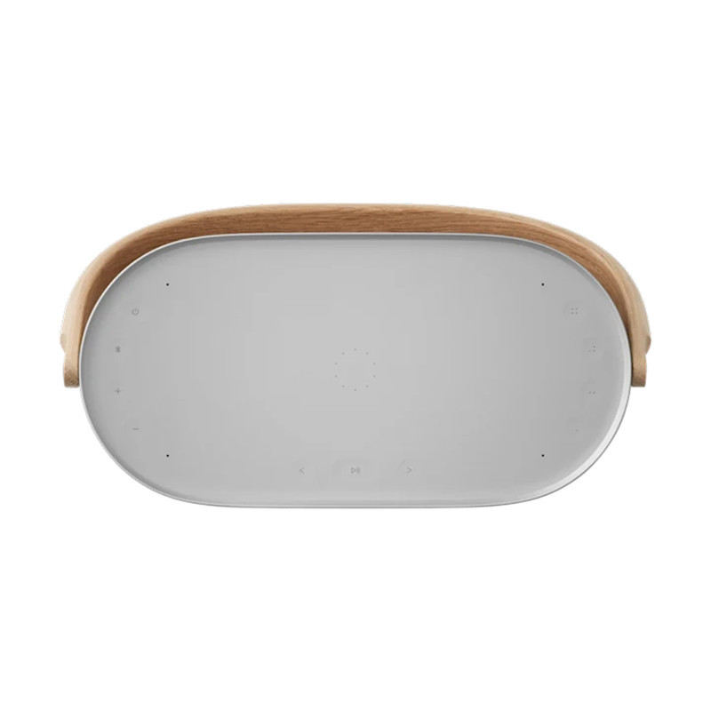 اسپیکر بلوتوثی قابل حمل بنگ اند آلفسن مدل Beosound A5 Nordic
