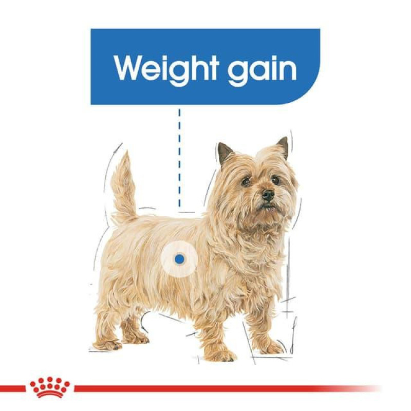 غذای خشک سگ رویال کنین مدل Mini Light Weight وزن 3 کیلوگرم