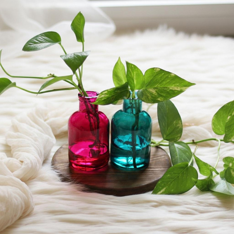 گلدان دکوری شیشه‌ای مناسب قلمه زدن مدل SD23 مجموعه 2 عددی، قابل استفاده برای گل و گیاهان طبیعی و خشک، ابعاد 13x7x7 سانتی‌متر، وزن 200 گرم، تمیزکاری با پارچه مرطوب