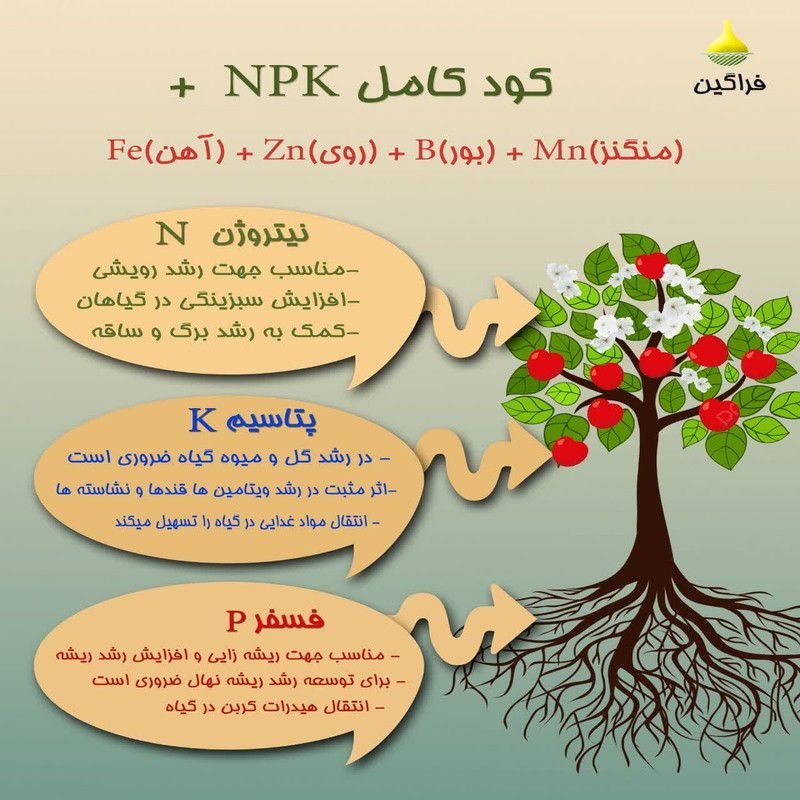 کود کامل برگدهی و گلدهی فراگین مدل 20-3-20 + 20so4 وزن 1000 گرم