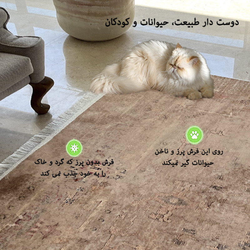 فرش ماشینی 1200 شانه فرش صرافیان زمینه پیازی حاشیه پیازی مدل چکاوه