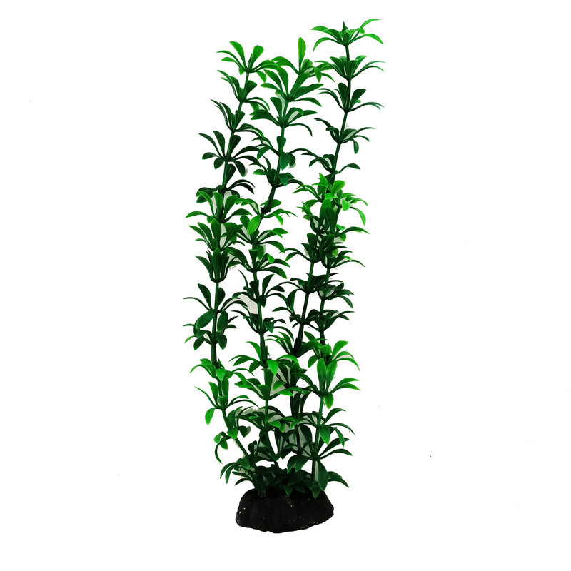 گیاه تزیینی آکواریوم کد SM089 مجموعه 10 عددی