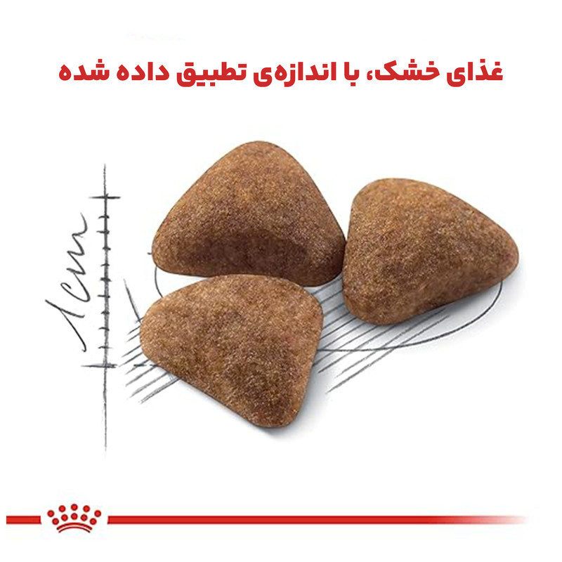 غذای خشک گربه رویال کنین مدل Home Life Indoor وزن 2 کیلوگرم