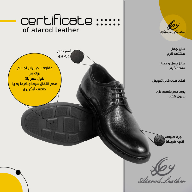 کفش مردانه چرم عطارد مدل چرم طبیعی کد SH135