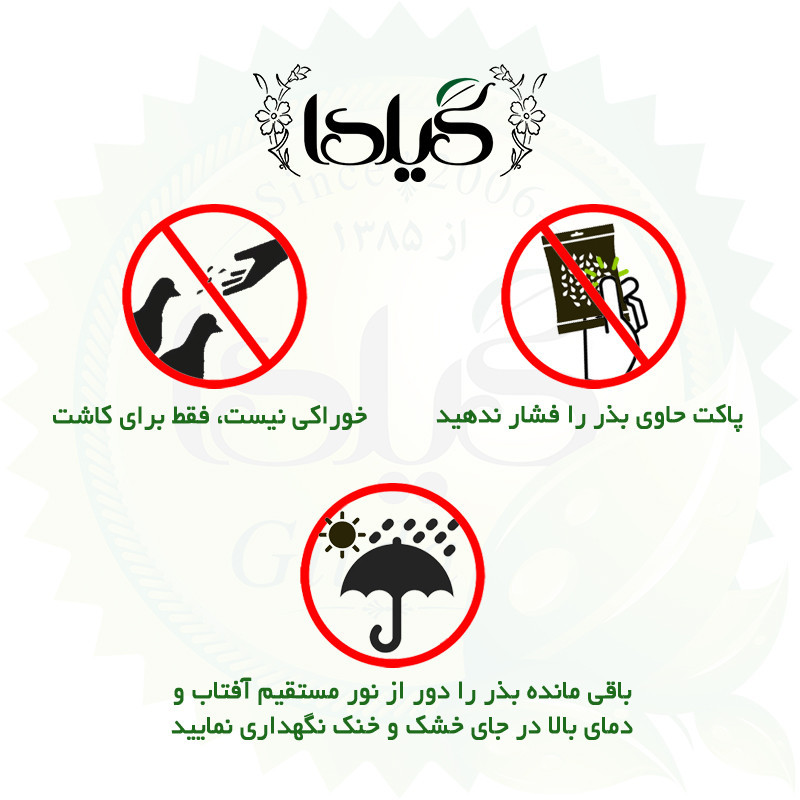 بذر جعفری پاکوتاه الوان گیلدا کد 870