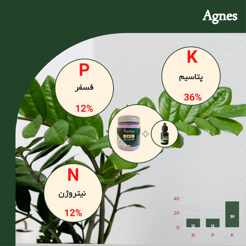کود پتاس بالا آگنس مدل NPK 12-12-36 وزن 300 گرم