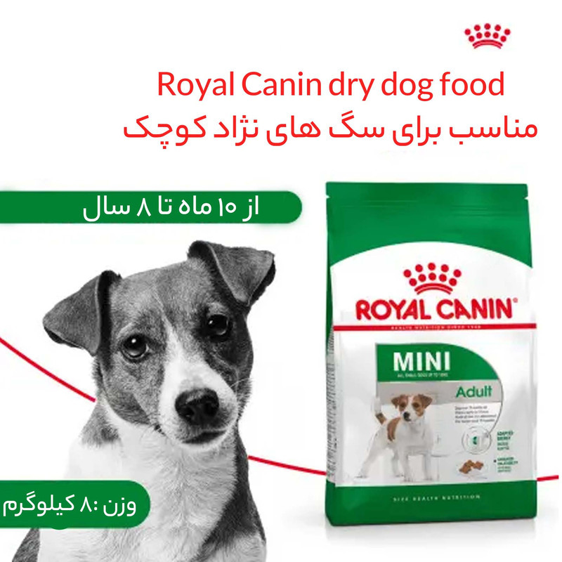 غذای خشک سگ نژاد کوچک رویال کنین مدل Mini Adult وزن 2 کیلوگرم