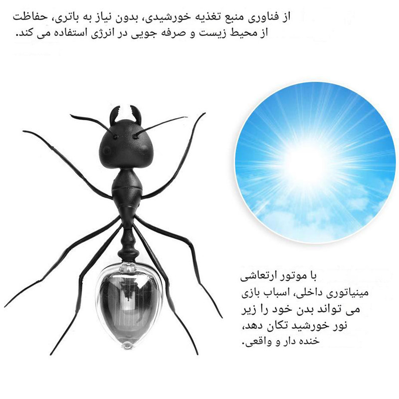 اسباب بازی زینتی برانت مدل خورشیدی طرح مورچه