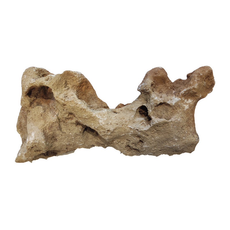 سنگ تزیینی آکواریوم مدل Dragon-03