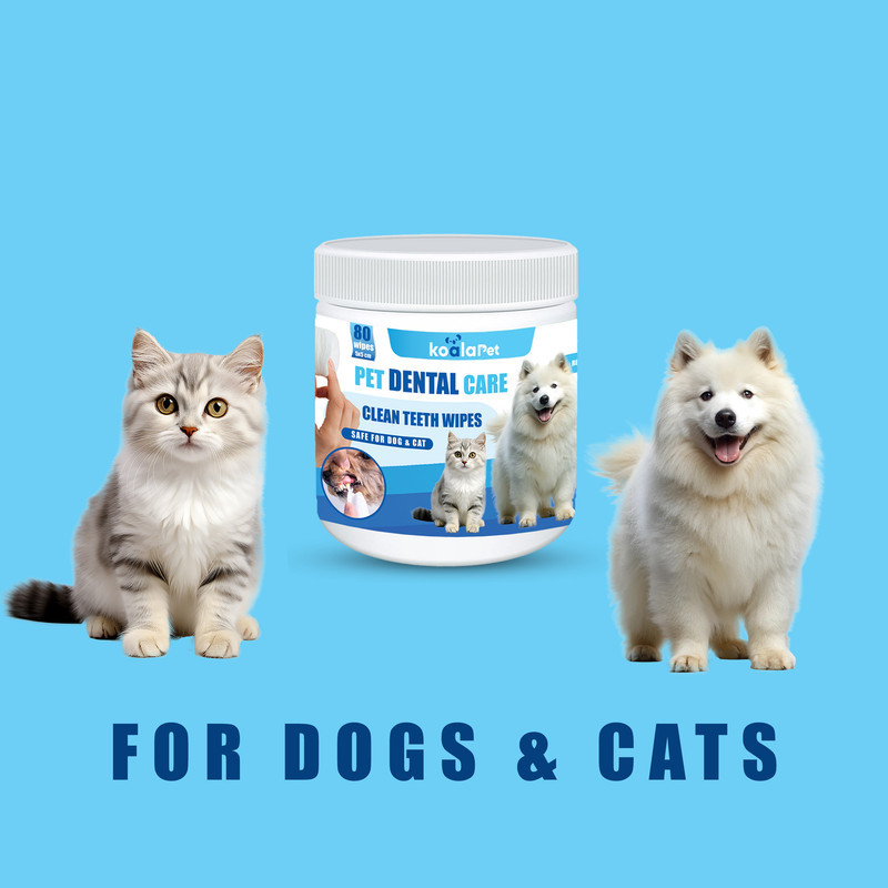 دستمال مرطوب بهداشت دندان حیوانات کوالاپت مدل dental Wipes01 بسته 80 عددی