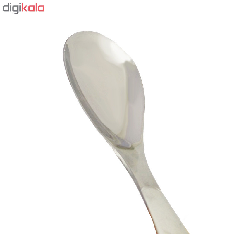 قاشق اجیل خوری نیوهوم کد 0620