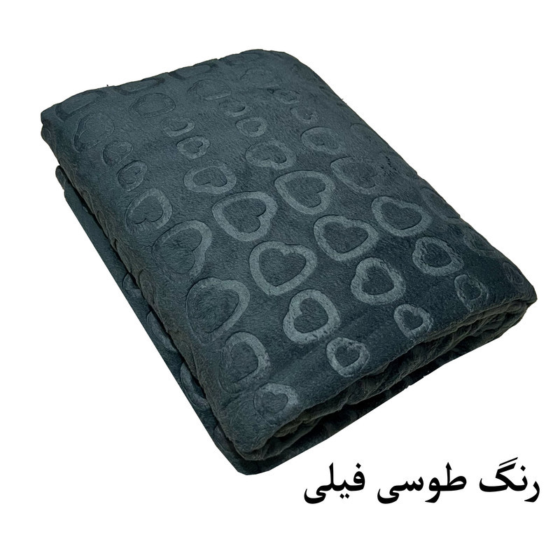 پتو مسافرتی 1 نفر هنرمند مدل هیرت سایز 200x160 سانتی‌متر