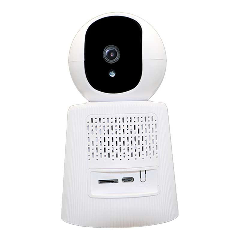 دوربین مداربسته تحت شبکه رایمون مدل 2 مگاپیکسل کد RW-300