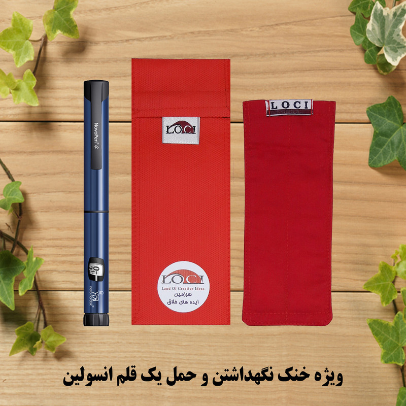 کیف خنک نگهدارنده انسولین لوک آی مدل 1 قلم کد 00 مجموعه 2 عددی