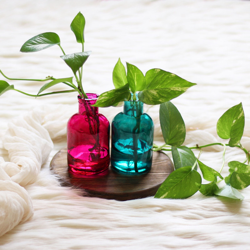 گلدان دکوری شیشه‌ای مناسب قلمه زدن مدل SD23 مجموعه 2 عددی، قابل استفاده برای گل و گیاهان طبیعی و خشک، ابعاد 13x7x7 سانتی‌متر، وزن 200 گرم، تمیزکاری با پارچه مرطوب