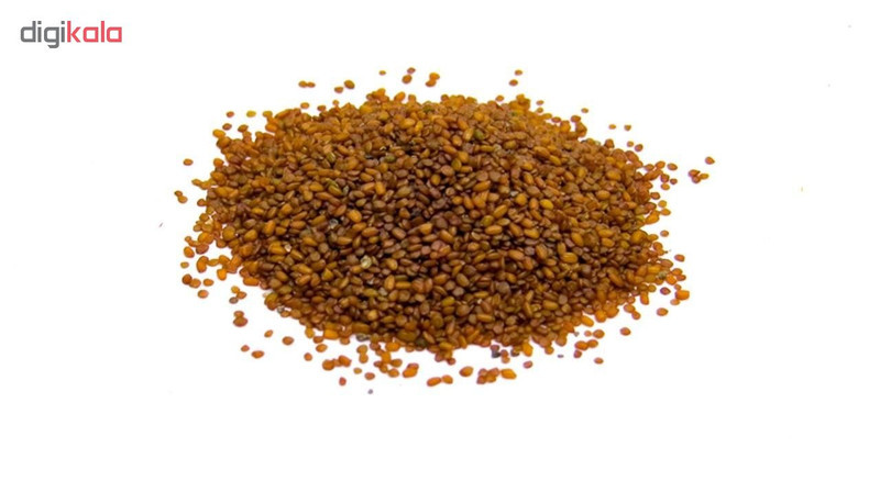بذر چمن آکواریوم مدل GS-003 بسته 2 عددی