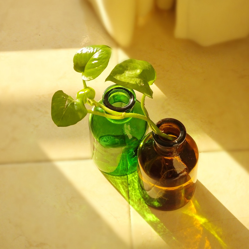 گلدان دکوری شیشه‌ای مدل خمره‌ای با ابعاد 16×8×8 سانتی‌متر و وزن 300 گرم
