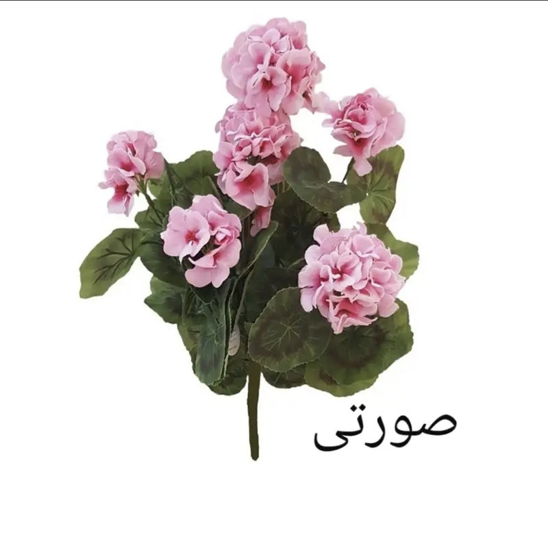 گل مصنوعی بوته شمعدانی طرح طبیعی مخملی قابل شستشو، مناسب فضای باز و داخل بالکن، نصب رومیزی، دیواری، ایستاده و آویزی، ابعاد 20×30×45 سانتی‌متر، وزن 300 گرم