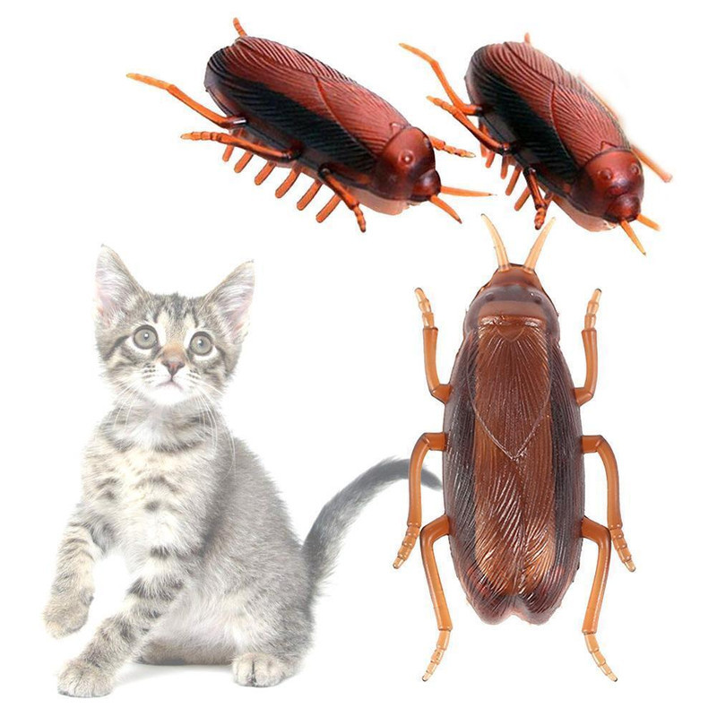 ابزار شوخی مدل سوسک متحرک