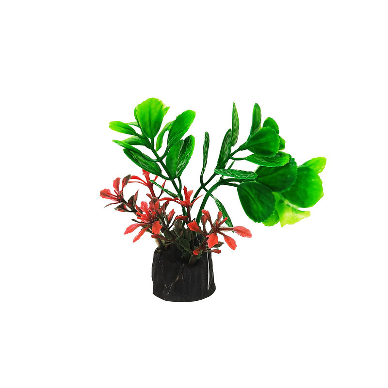 گیاه تزیینی آکواریوم کد N13 بسته 5 عددی