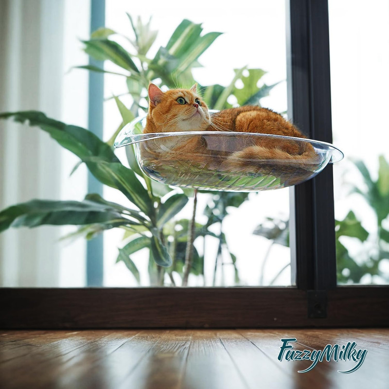 جای خواب گربه مدل شیشه ای مکشی window Bed