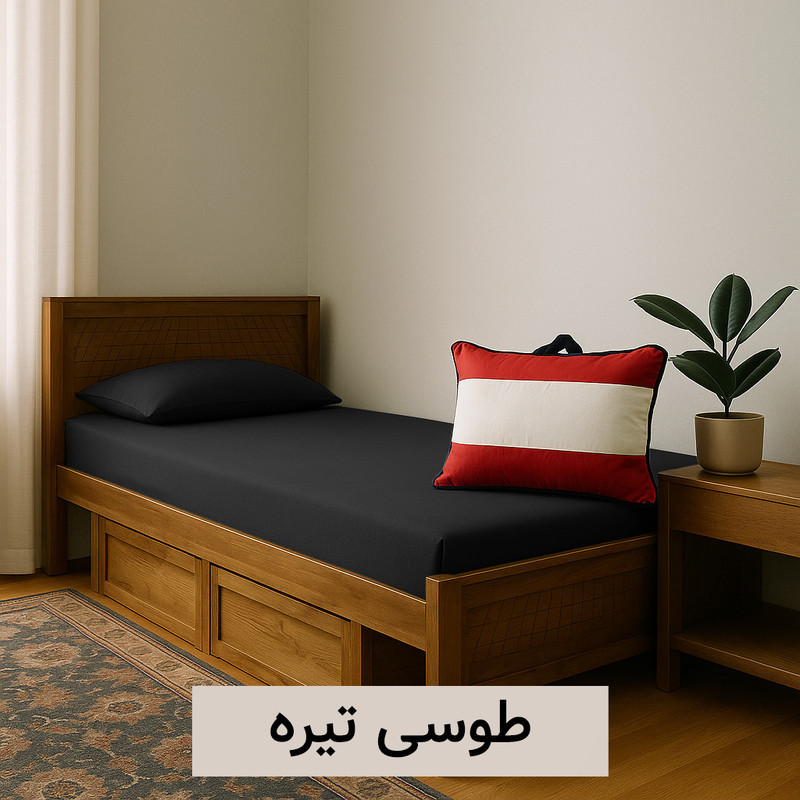 سرویس ملحفه 1 نفره 3 تکه کوکو جم مدل روبن